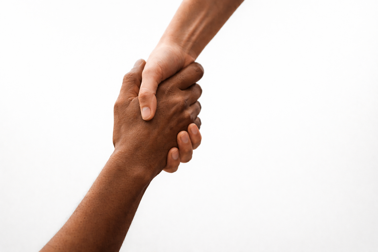 رویش، این روزها هم کنار شماست